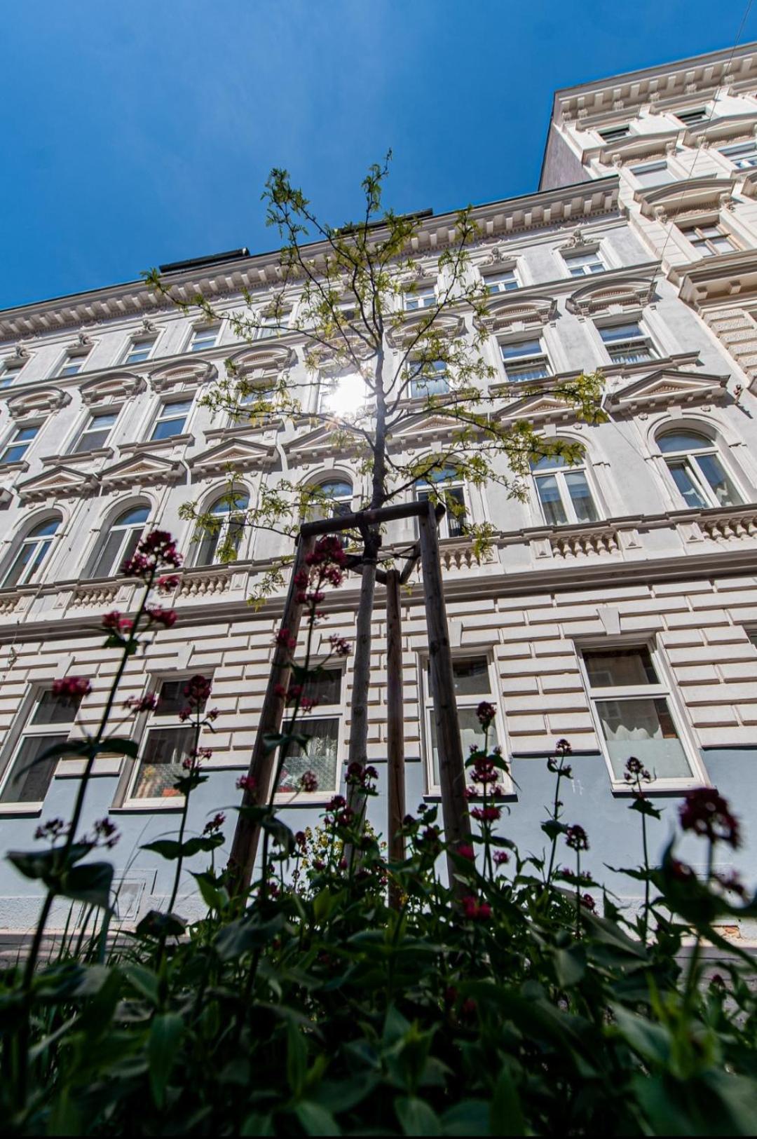 Vienna My City Apartment 2Bedroom Экстерьер фото